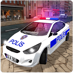 真实警察驾驶模拟器
